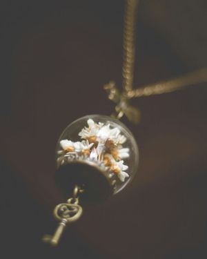 Image post by @leafyaffair on Instagram