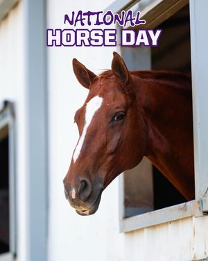 Image post by @tcuequestrian on Instagram