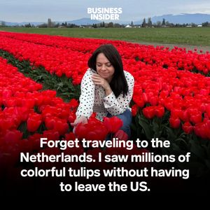 Image post by @insidertravel on Instagram