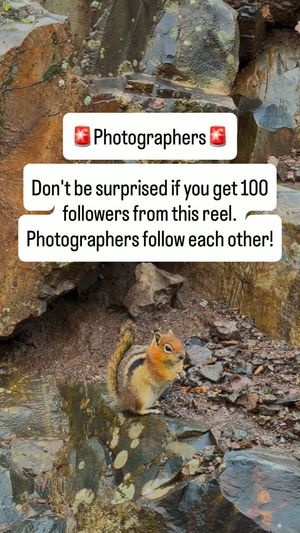 Image post by @olderelder on Instagram
