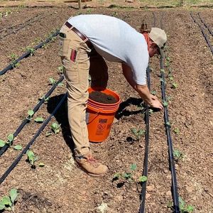 Image post by @greenhillwormfarm on Instagram