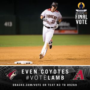 Image post by @arizonacoyotes on Instagram