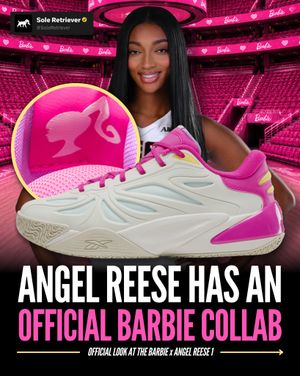 Image post by @soleretriever on Instagram