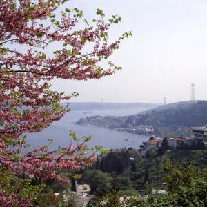 Image post by @burcutuncel on Instagram