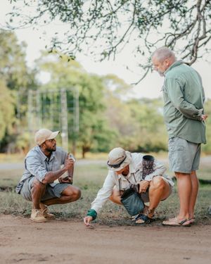 Image post by @hiltonyalaresort on Instagram