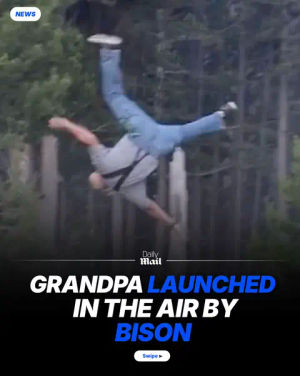 Image post by @dailymailau on TikTok