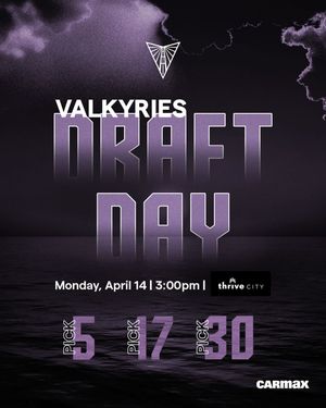 Image post by @valkyries on Instagram