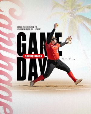 Image post by @carthagesoftball on Instagram