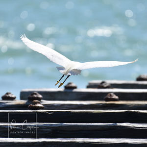 Image post by @lightboximages on Instagram