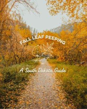 Image post by @travelsouthdakota on Instagram