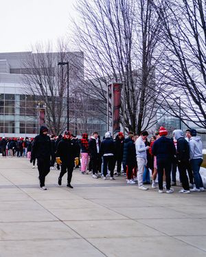 Image post by @badgermbb on Instagram