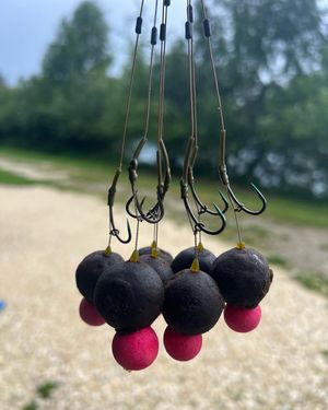 Image post by @brothercarp on Instagram
