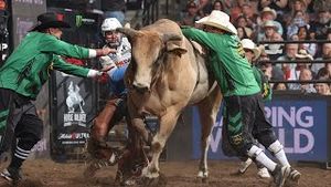 Video post by @pbr on YouTube