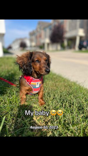 Video post by @kate.cassaidy on TikTok