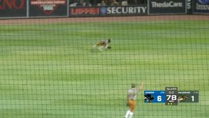 Image post by @WisconsinTimberRattlers on Facebook