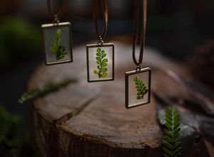 Image post by @leafyaffair on Instagram