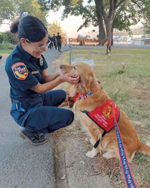Image post by @calfire on Instagram