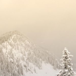 Image post by @skitaos on Instagram
