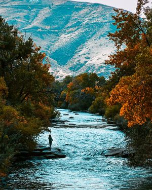 Image post by @shauns_shots on Instagram
