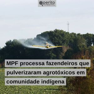 Image post by @operitoambiental on Instagram
