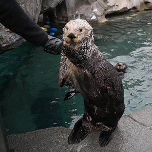 Image post by @vanaqua on Instagram