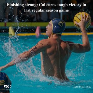 Image post by @dailycalsports on Instagram