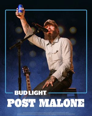Image post by @budlight on Instagram