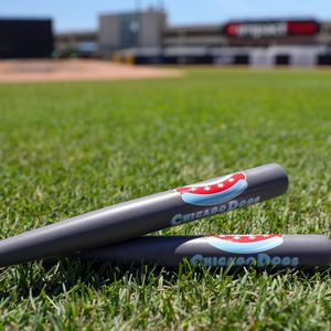 Image post by @thechicagodogs on Instagram