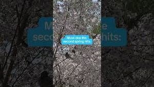 Video post by @claritin on YouTube