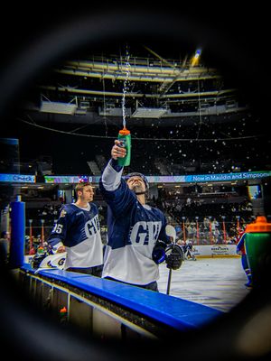 Image post by @swamprabbits on Instagram