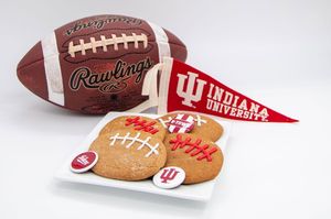 Image post by @sugarandspiceiu on Instagram