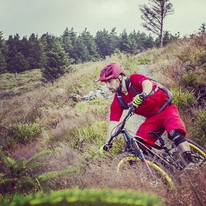 Image post by @vitusbikes on Instagram