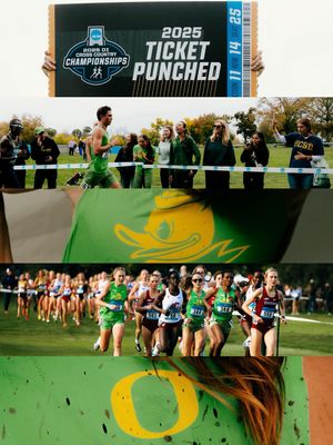 Image post by @oregontf on Instagram