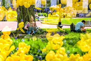Image post by @northeastern on Instagram