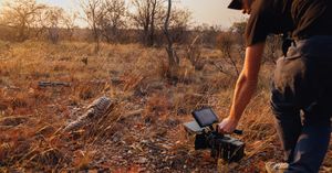 Image post by @reddigitalcinema on Instagram