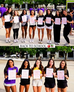 Image post by @lsugym on Instagram