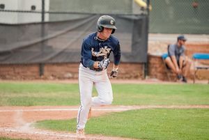 Image post by @OwlzNoCo on Twitter