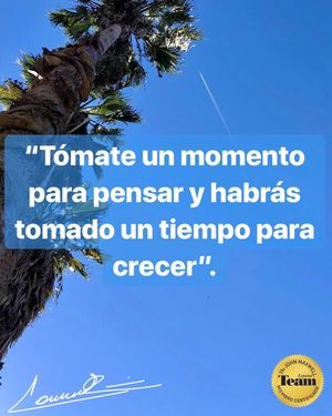 Image post by @damianalejandroromani on Instagram