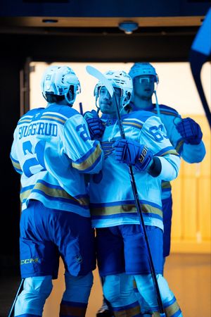 Image post by @StLouisBlues on Twitter