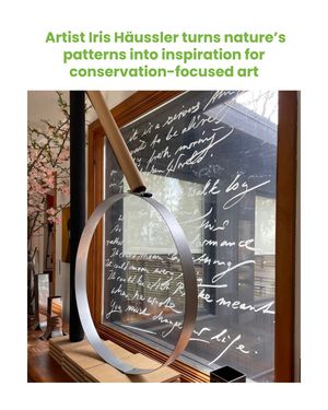 Image post by @featherfriendly on Instagram