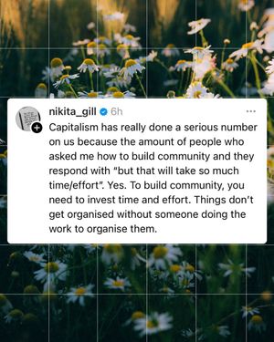 Image post by @commonsearth on Instagram