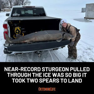 Image post by @outdoor_life on Instagram