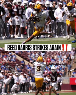 Image post by @bamboosportsmedia on Instagram