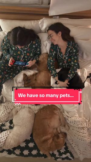 Video post by @allieandsam on TikTok