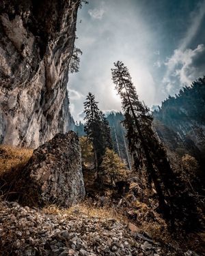 Image post by @cristan.nature.photography on Instagram