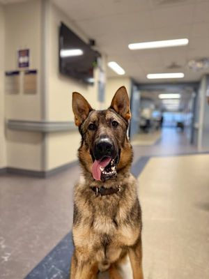 Image post by @TheGuthrieClinic on Facebook