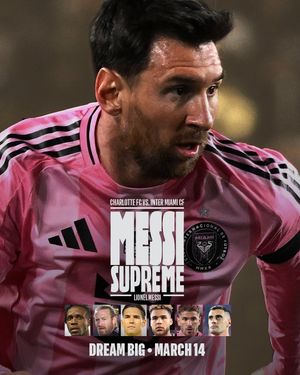 Image post by @mls on Instagram