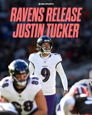 Video post by @nfloncbs on TikTok