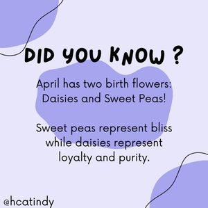 Image post by @hcatindy on Instagram