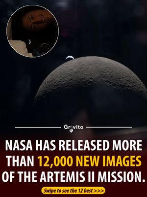 Image post by @gravitonomy on Instagram